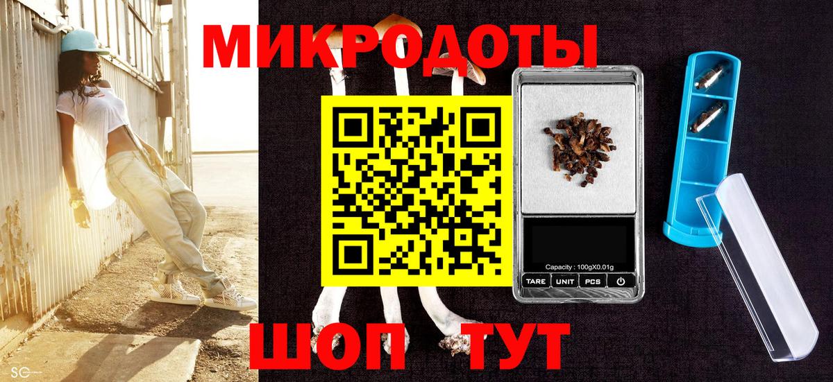 Галлюциногенные грибы Cubensis  Вход с VPN  Шахты  Галлюциногенные грибы мицелий 